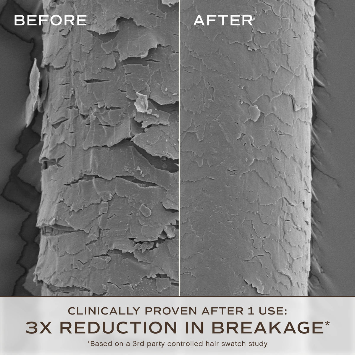 Overnight Repair Serum
